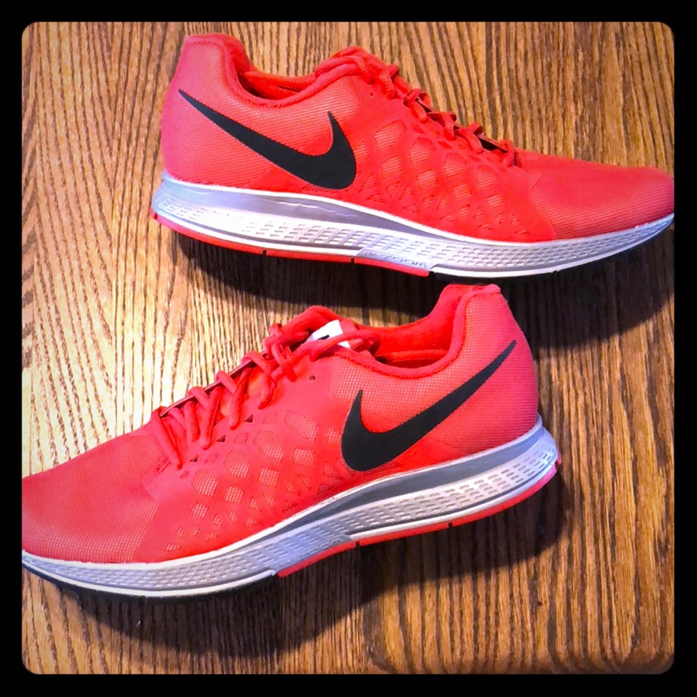 Nike Pegasus 31 shield/H20 repel